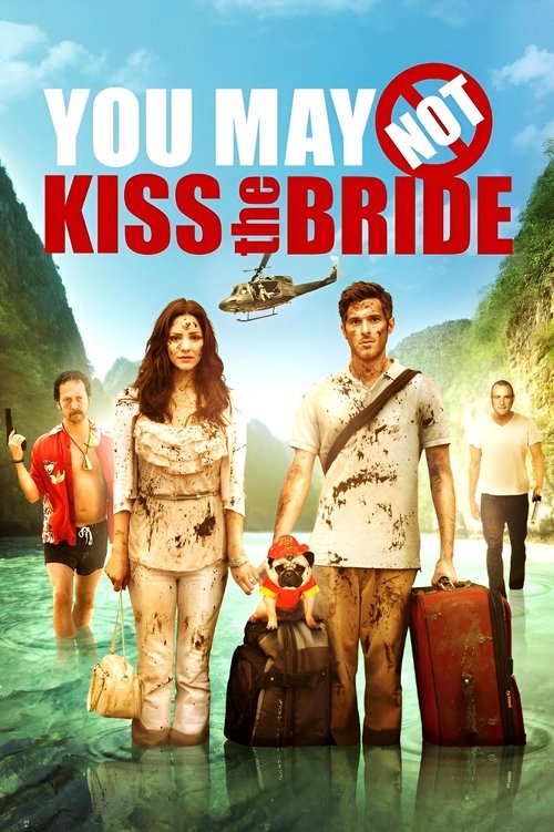 Tia Carrere in You May Not Kiss the Bride (2011)
